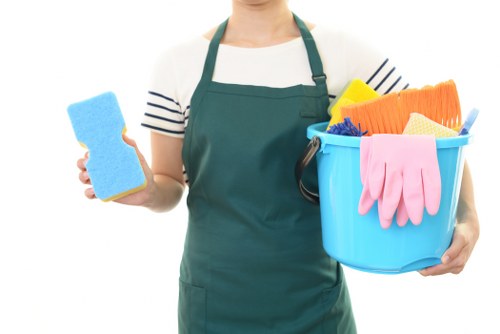 Upholstery cleaning service for sofas in Harringay homes