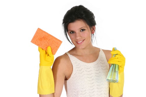 Before and after style scene of pet stain odour removal on a sofa