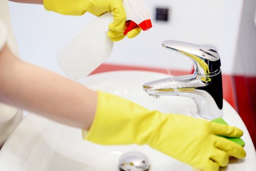 Deep cleaning process for rugs used in Harringay households