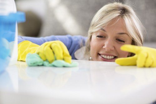 Preparing a Harringay property for a window cleaning appointment