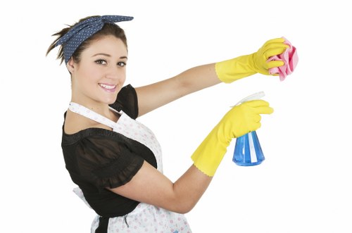 Seasonal gutter cleaning for a home near Green Lanes in Harringay