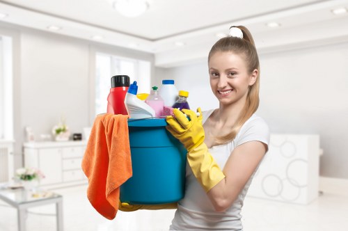 Risk assessment process before carpet cleaning begins