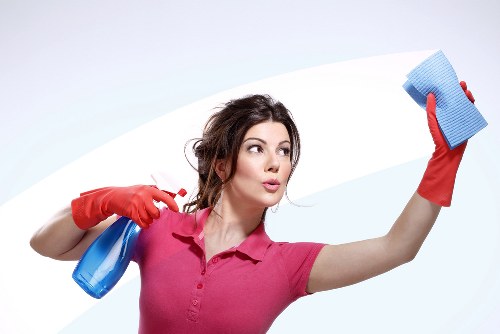 Professional cleaning equipment used for pet stain removal