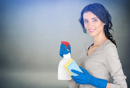 Mattress deep cleaning equipment used in a Harringay flat